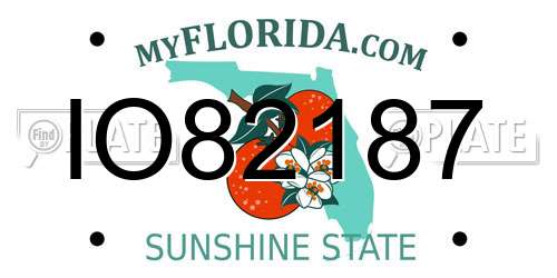 IO82187 Florida License Plate