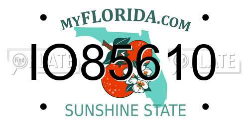 IO85610 Florida License Plate