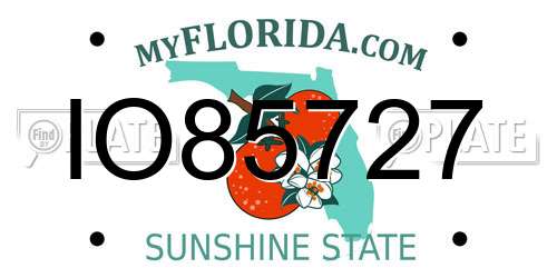 IO85727 Florida License Plate