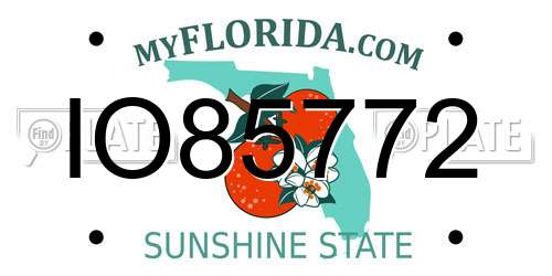IO85772 Florida License Plate