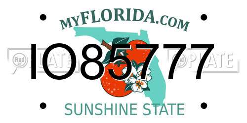 IO85777 Florida License Plate