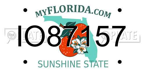 IO87157 Florida License Plate