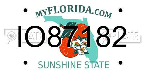IO87182 Florida License Plate