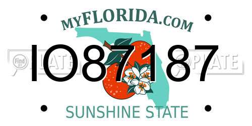 IO87187 Florida License Plate