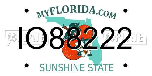 IO88222 Florida License Plate