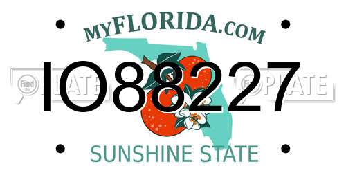 IO88227 Florida License Plate
