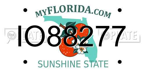 IO88277 Florida License Plate