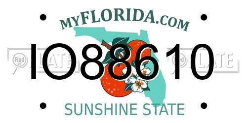 IO88610 Florida License Plate