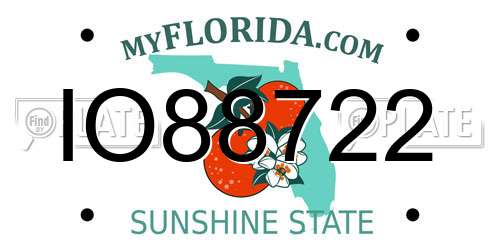IO88722 Florida License Plate