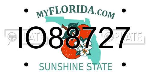 IO88727 Florida License Plate