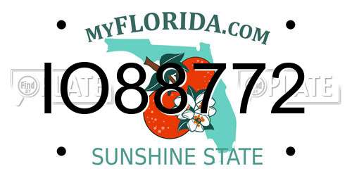 IO88772 Florida License Plate