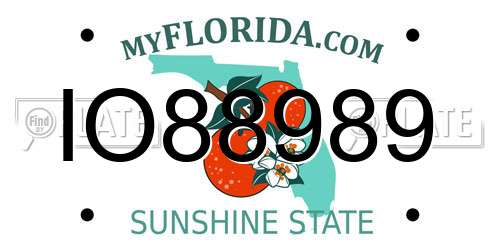 IO88989 Florida License Plate