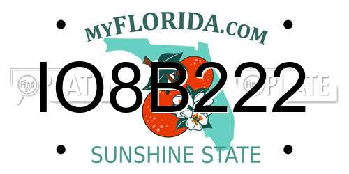 IO8B222 Florida License Plate