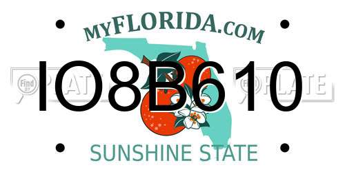 IO8B610 Florida License Plate