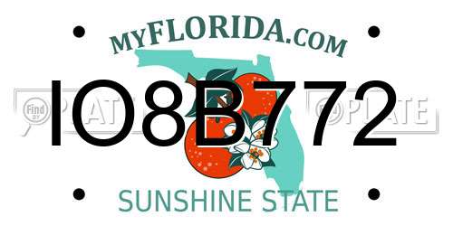 IO8B772 Florida License Plate