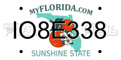 IO8E338 Florida License Plate