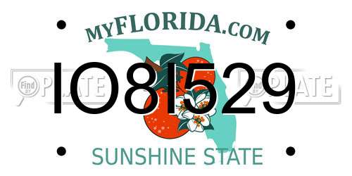 IO8I529 Florida License Plate
