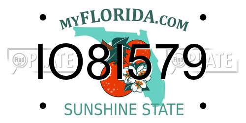 IO8I579 Florida License Plate