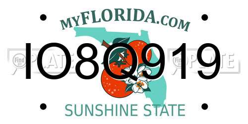 IO8Q919 Florida License Plate