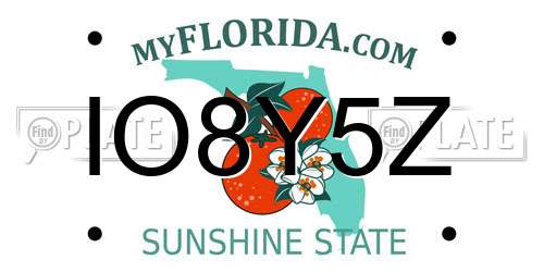 IO8Y5Z Florida License Plate