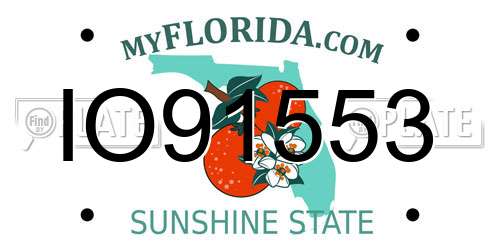 IO91553 Florida License Plate