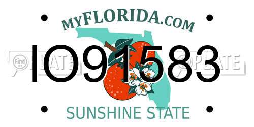 IO91583 Florida License Plate