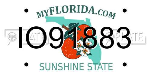 IO91883 Florida License Plate