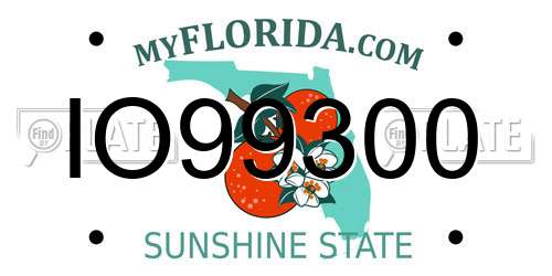 IO99300 Florida License Plate