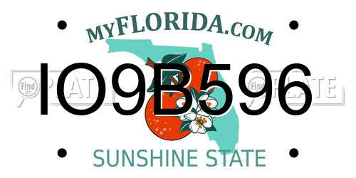 IO9B596 Florida License Plate