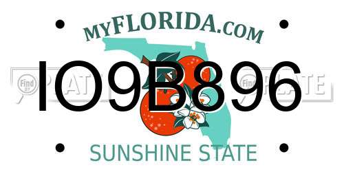 IO9B896 Florida License Plate