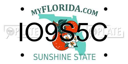 IO9S5C Florida License Plate
