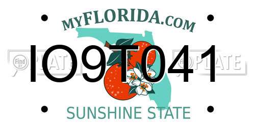 IO9T041 Florida License Plate
