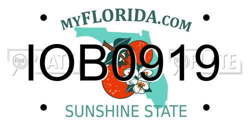 IOB0919 Florida License Plate