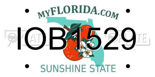 IOB1529 Florida License Plate