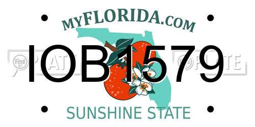 IOB1579 Florida License Plate