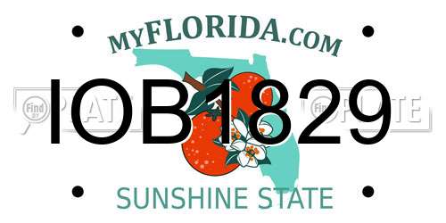 IOB1829 Florida License Plate