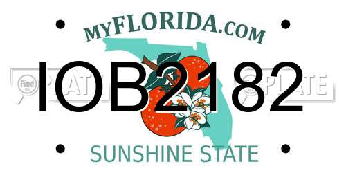 IOB2182 Florida License Plate