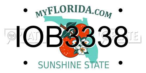 IOB3338 Florida License Plate