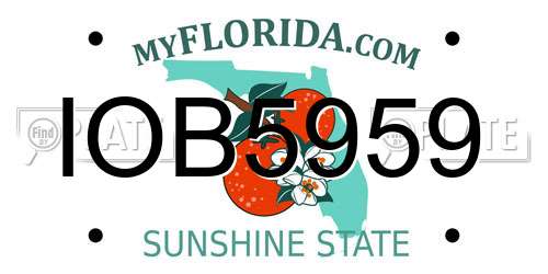 IOB5959 Florida License Plate