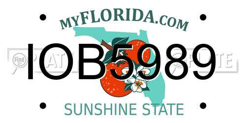 IOB5989 Florida License Plate