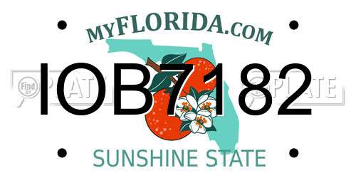 IOB7182 Florida License Plate