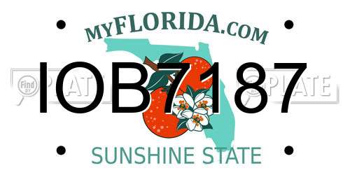 IOB7187 Florida License Plate