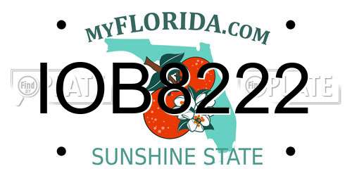 IOB8222 Florida License Plate