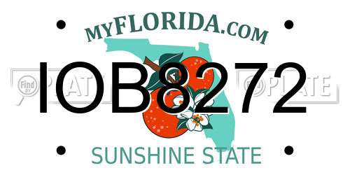 IOB8272 Florida License Plate