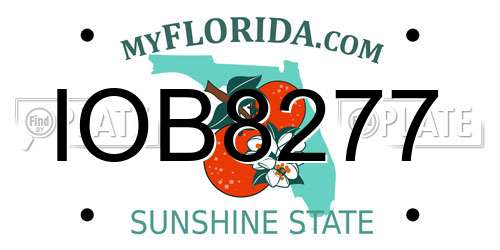 IOB8277 Florida License Plate