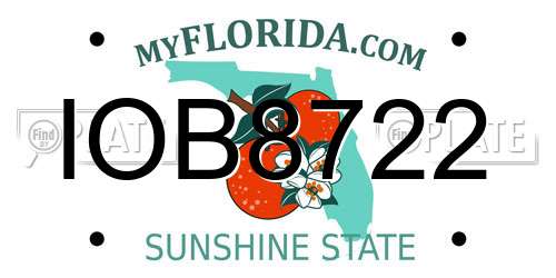IOB8722 Florida License Plate