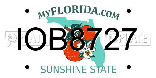 IOB8727 Florida License Plate