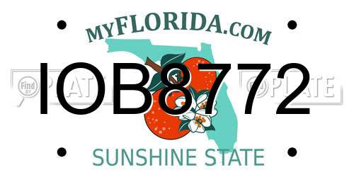 IOB8772 Florida License Plate