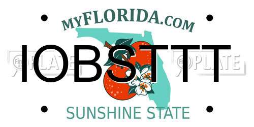 IOBSTTT Florida License Plate