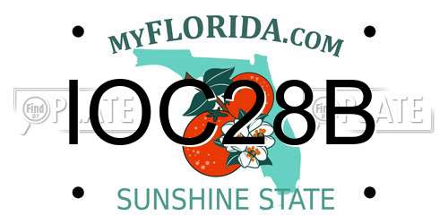 IOC28B Florida License Plate